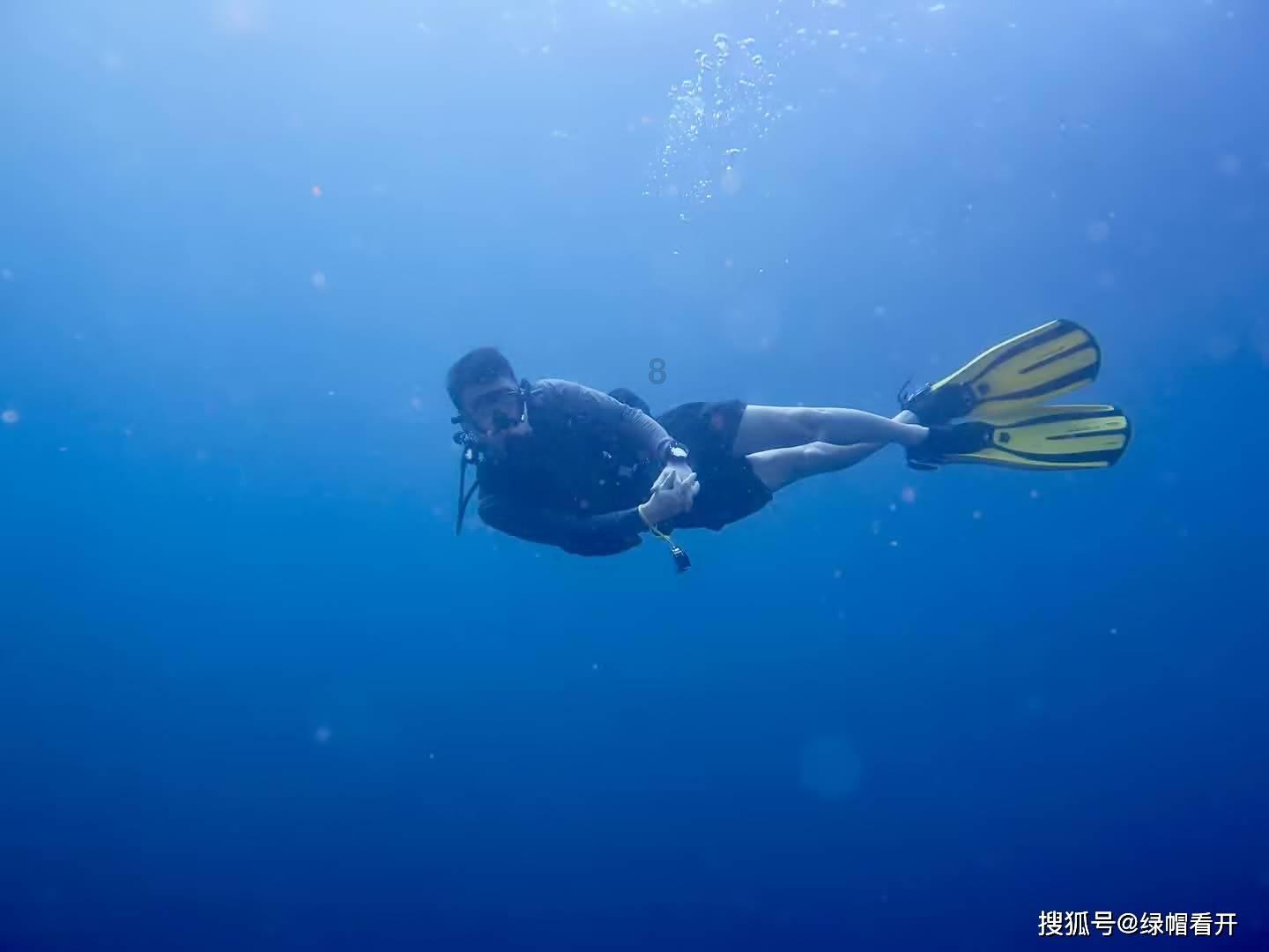 权力与纷争