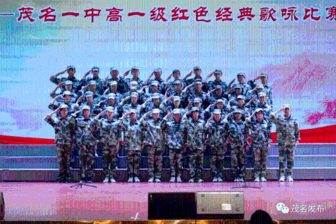 五彩蛇大作战