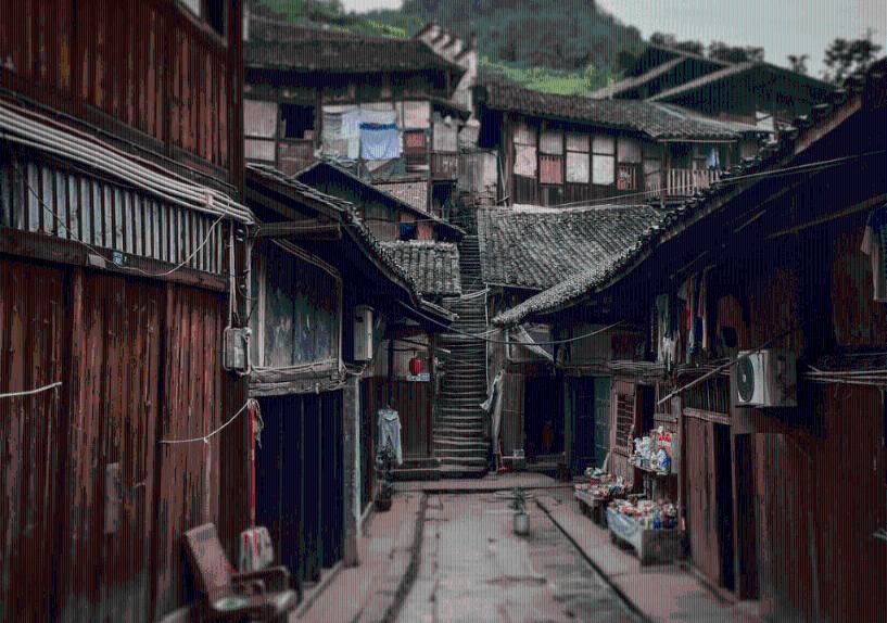 干姬松茸怎么选才好