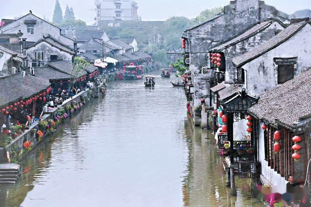 蜂王救援